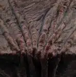ЕКО КОСЪМ КЪС-КАФЯВО 1 ekokosam-kas-kch.jpg