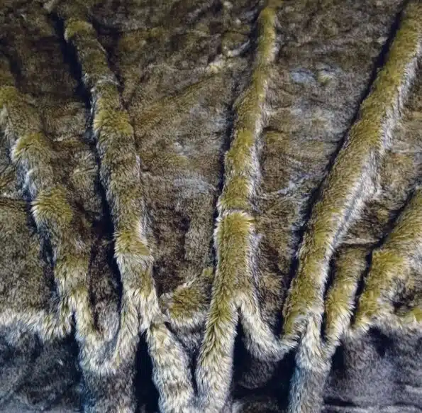 ekokosam-kas