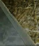ekokosam-kas-zl.jpg