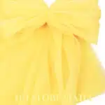 ХАЯЛ ТЮЛ БЛЕДО ЖЪЛТО 1 hayal-bledo-zhalto