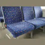 damaska-reis-zelena