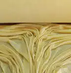 elastichen-tyul-bledo-zhyito