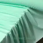 shifon-menta