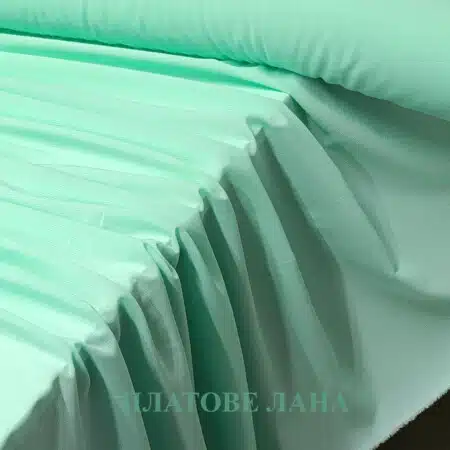 shifon-menta