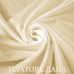 hastar-shampansko